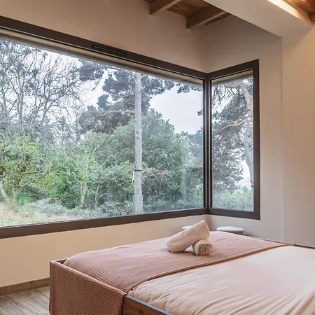 Les Tanieres Du Gevaudan - Avec Les Loups Feriehus Saint-Leger-de-Peyre